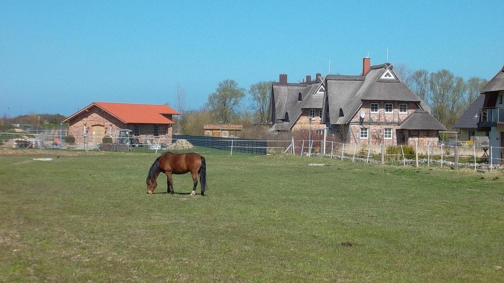 Villa Strandnah - Ferienwohnungen Borgerende-Rethwisch Bagian luar foto
